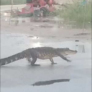 Meet your Posher, Jaden